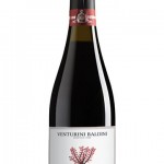 lambrusco-montelocco-venturini-baldini_38202_list